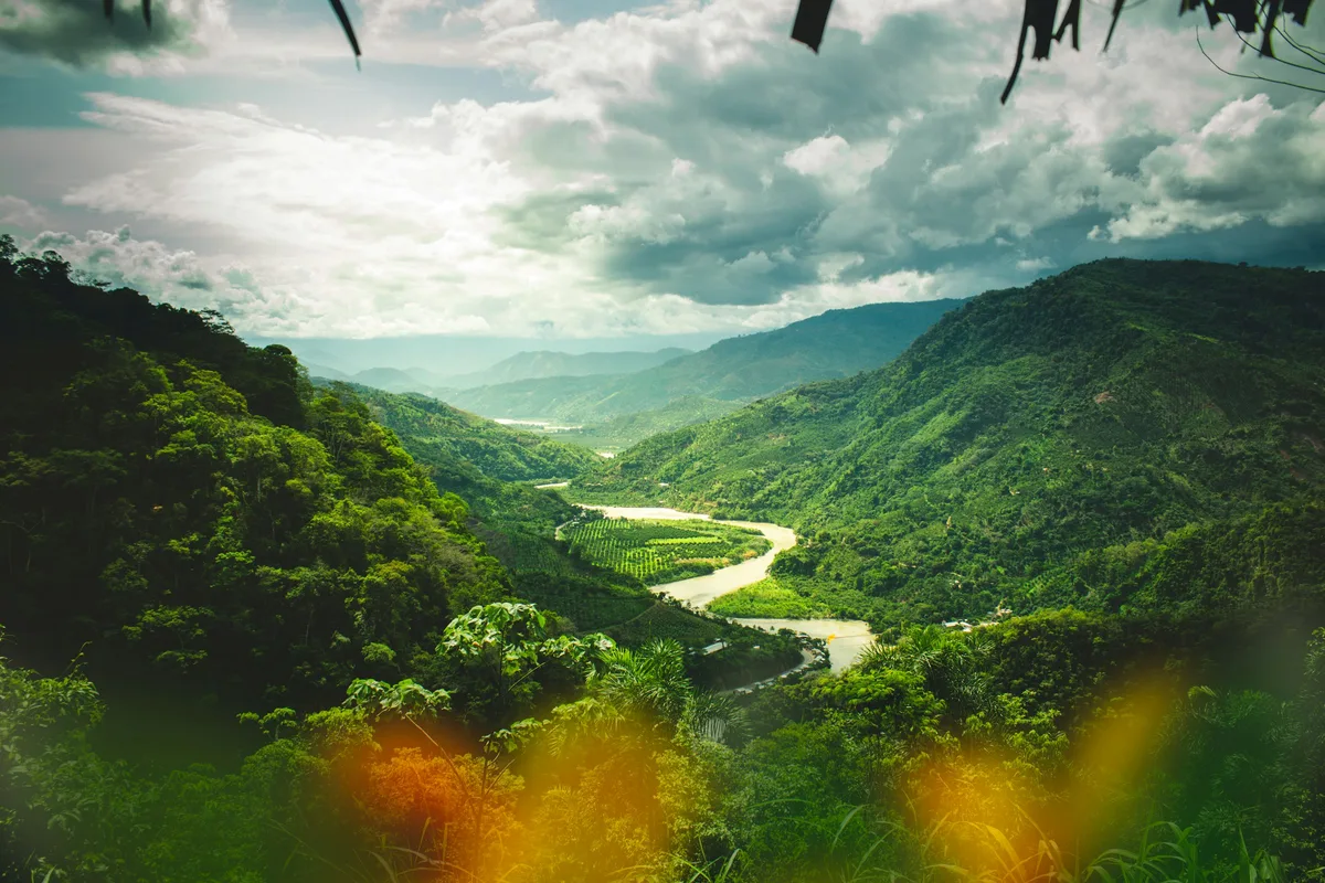 The warm, humid Peruvian Amazon jungle