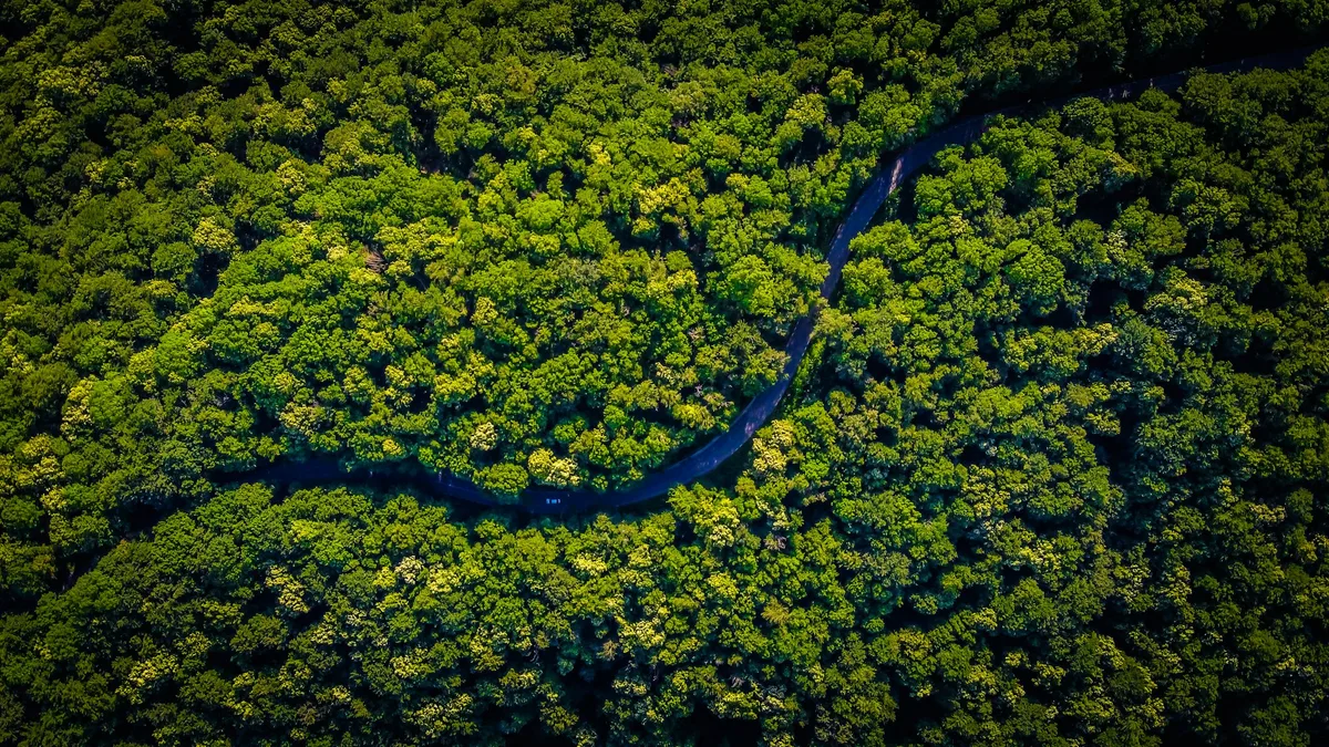 Amazon river bend at sunrise